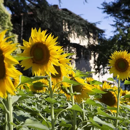 Farm stay La Topaia *