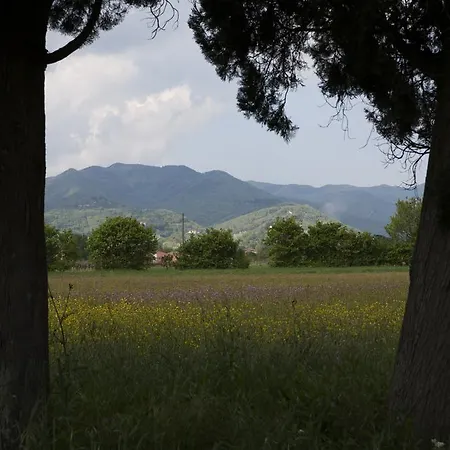 La Topaia ファームステイ *